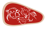 SICARNE